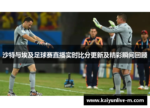 沙特与埃及足球赛直播实时比分更新及精彩瞬间回顾
